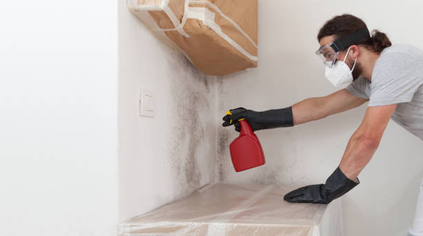 Professional Basement Mold Remediation technician working in Comanche, TX
