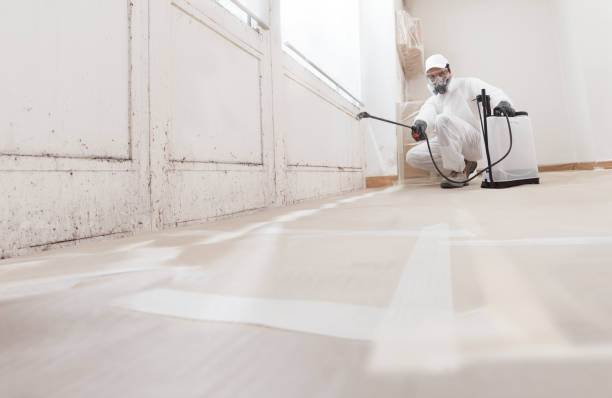 24/7 Emergency Basement Mold Remediation experts in Comanche, TX