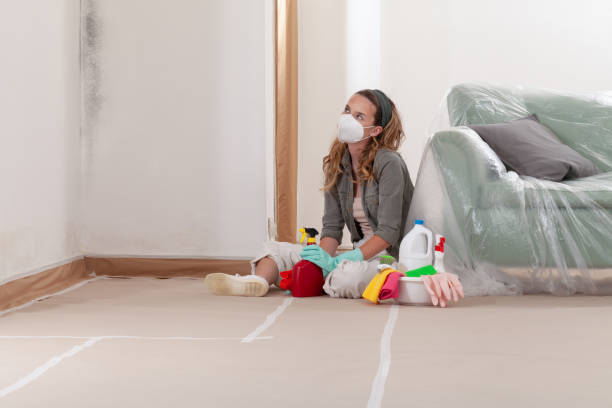 Reliable Basement Mold Remediation contractor in Comanche, TX by 24 Hour Mold Removal